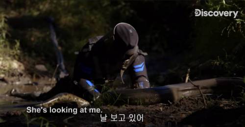 [스압] 아나콘다한테 먹혀보기.jpg