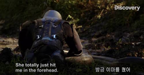 [스압] 아나콘다한테 먹혀보기.jpg
