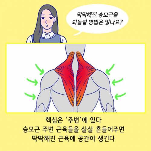 [스압] 목이나 어깨 아플 때 절대 주무르면 안 되는 부위