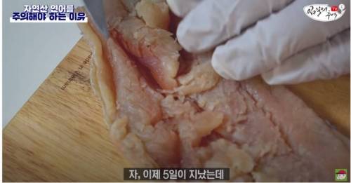 [스압&약혐] 자연산 연어를 주의해야 하는 이유