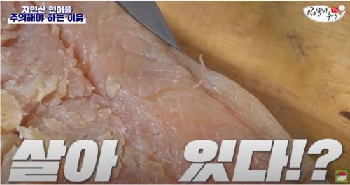 [스압&약혐] 자연산 연어를 주의해야 하는 이유