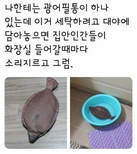 효과는 대단했다..jpg