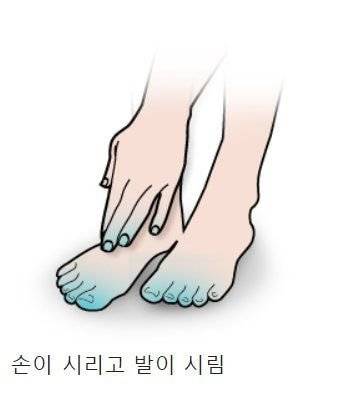 찐 수족냉증 사람들이 수면양말 안 신는 이유.jpg
