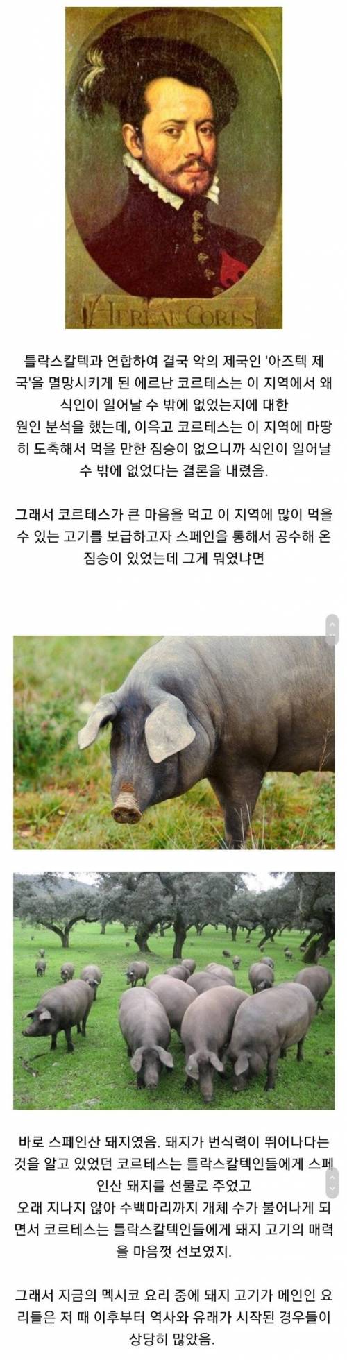 멕시코 요리중 돼지요리가 많은 이유.jpg