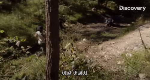 [스압] 아나콘다한테 먹혀보기.jpg