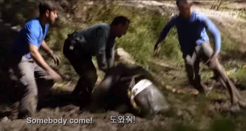 [스압] 아나콘다한테 먹혀보기.jpg