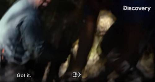 [스압] 아나콘다한테 먹혀보기.jpg