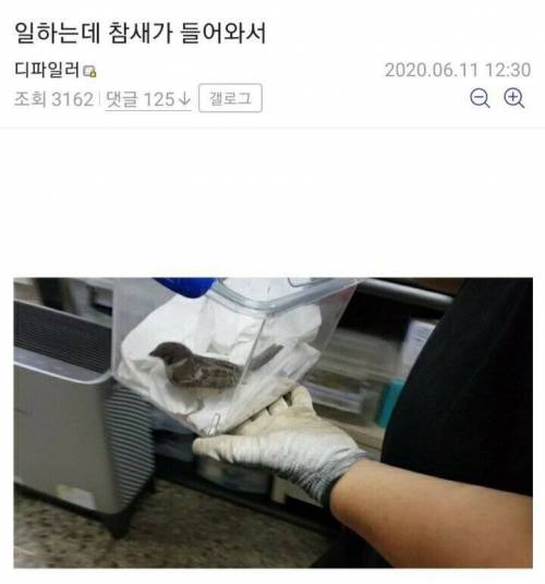 일하는데 참새가 들어와서.jpg