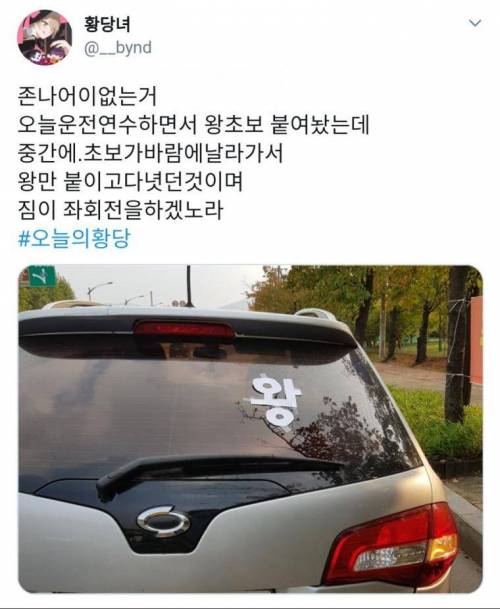 왕초보 스티커 붙이고 운전연수 받다가