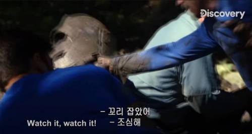 [스압] 아나콘다한테 먹혀보기.jpg