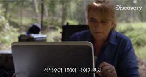 [스압] 아나콘다한테 먹혀보기.jpg
