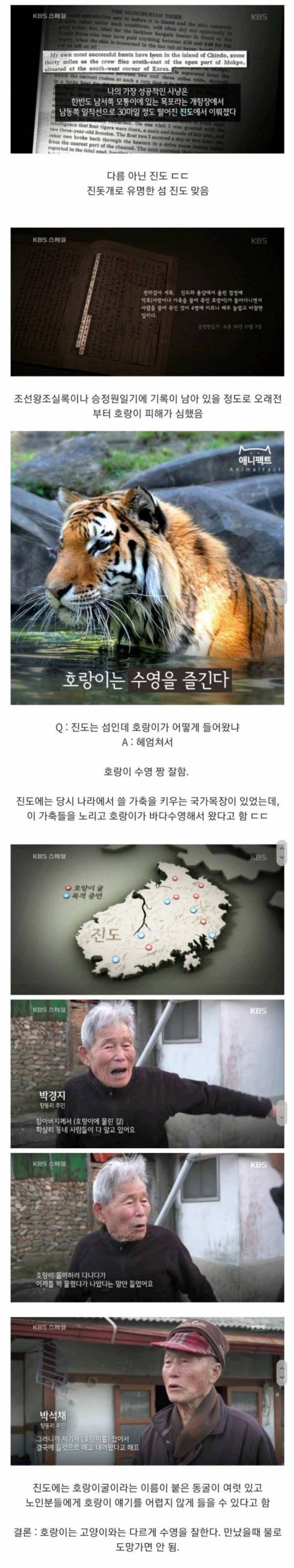 조선시대에 의외로 호랑이 피해가 많았던 곳.jpg