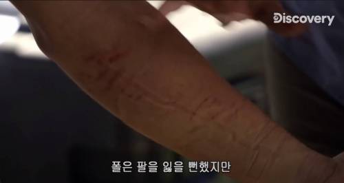 [스압] 아나콘다한테 먹혀보기.jpg