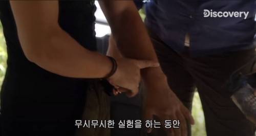 [스압] 아나콘다한테 먹혀보기.jpg