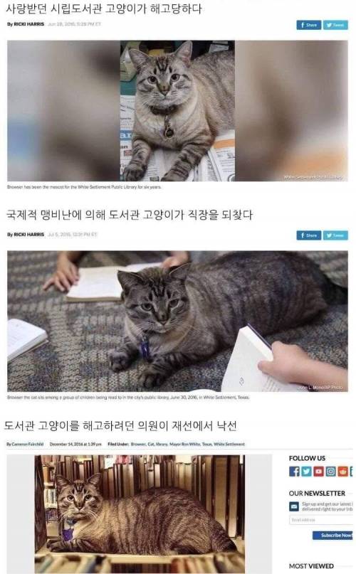 생각보다 영향력이 큰 생물.jpg