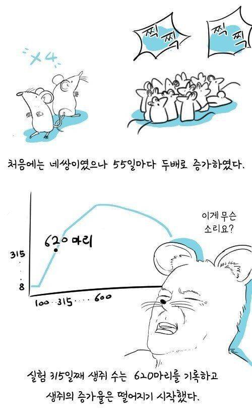 [스압] 60년전 쥐를 이용한 실험.jpg