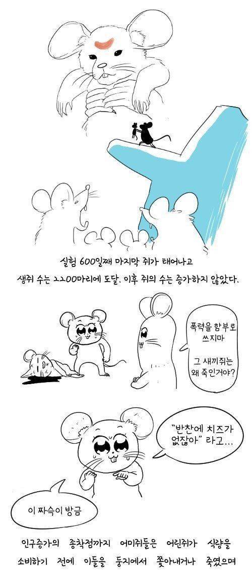 [스압] 60년전 쥐를 이용한 실험.jpg