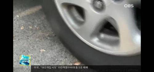 미국에 서식하는 딱정벌레.jpg