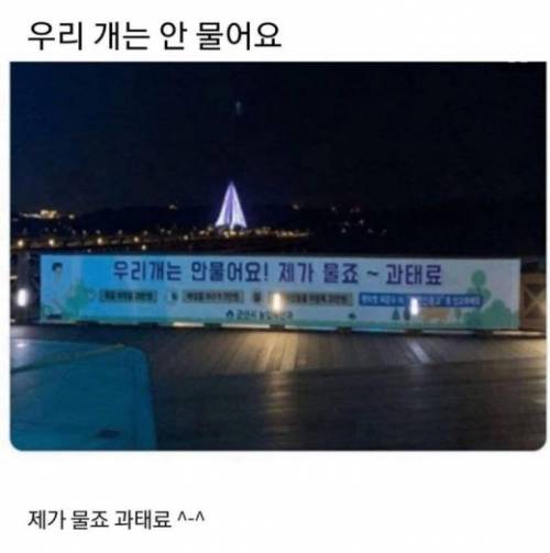 우리 개는 안물어요.jpg