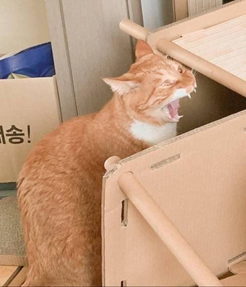 부실공사의 피해자들.jpg