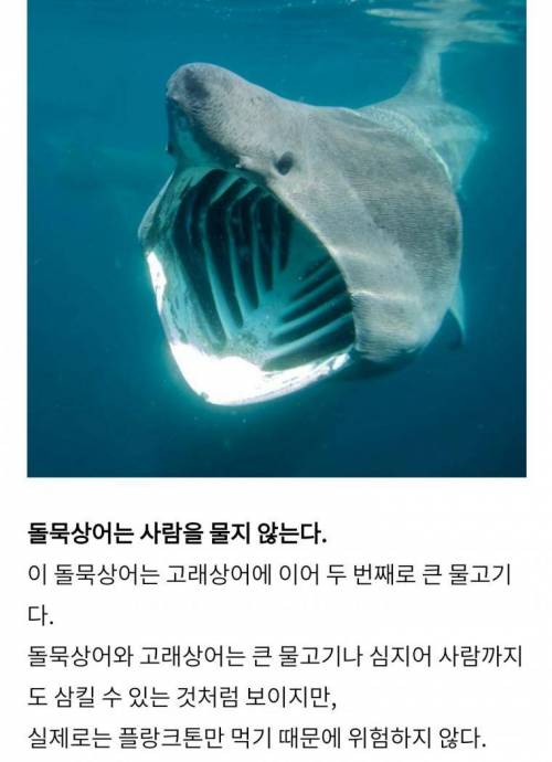 신기한 동물들의 능력과 몰랐던 사실들.jpg