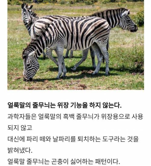 신기한 동물들의 능력과 몰랐던 사실들.jpg