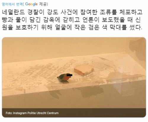 네덜란드에서 체포된 앵무새