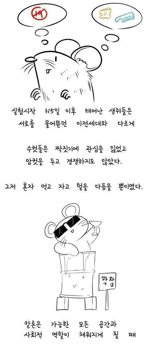 [스압] 60년전 쥐를 이용한 실험.jpg