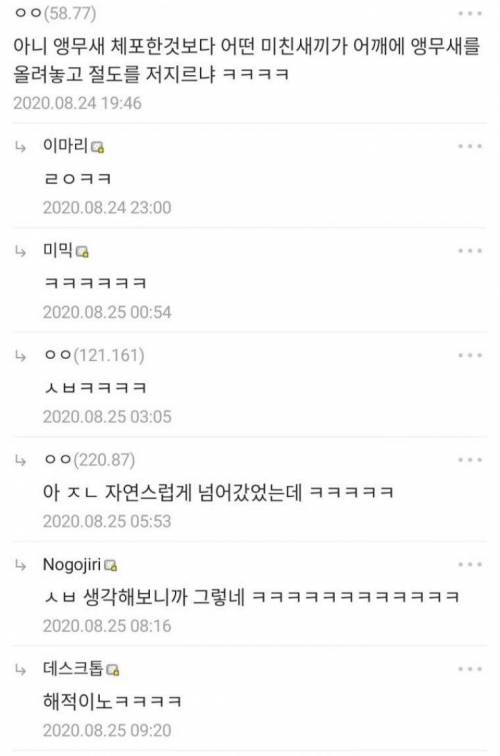 네덜란드에서 체포된 앵무새