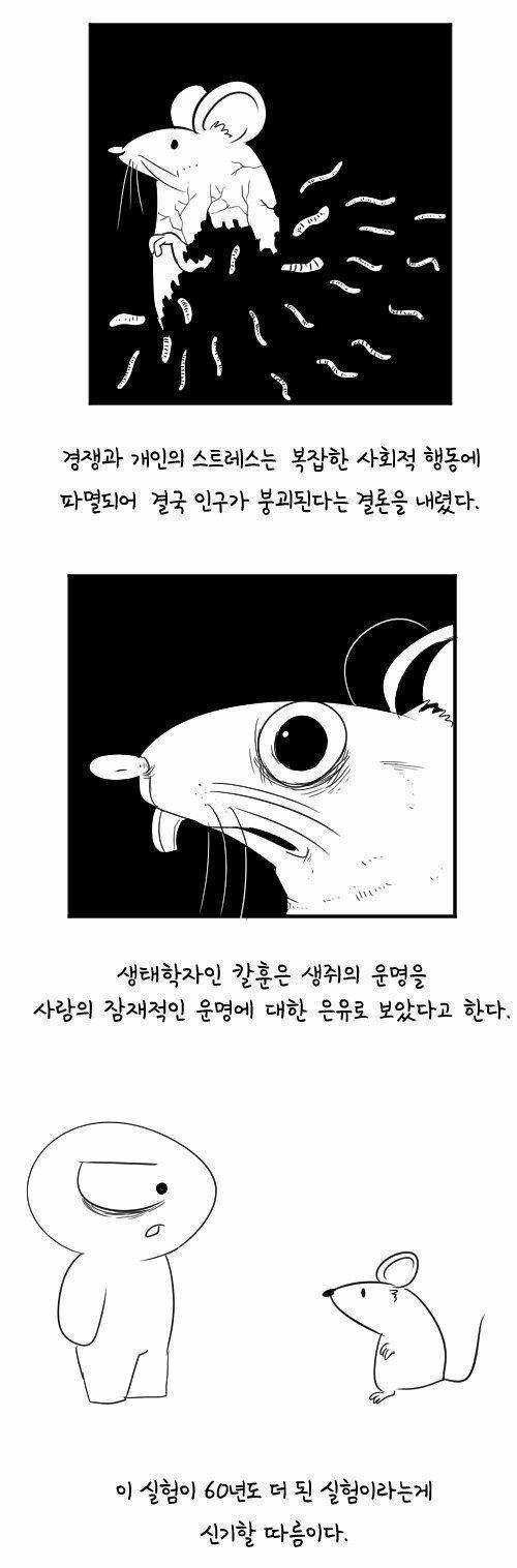 [스압] 60년전 쥐를 이용한 실험.jpg