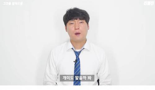 [스압] 스님들은 모기를 잡을까?