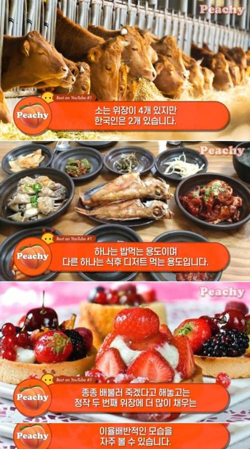 [스압] 한국인들이 먹을것을 대하는 자세.jpg