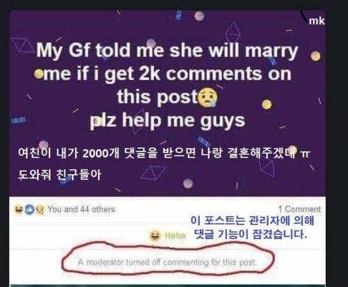 댓글 2000개 받으면 결혼 허락이래! 친구들아 도와줘!