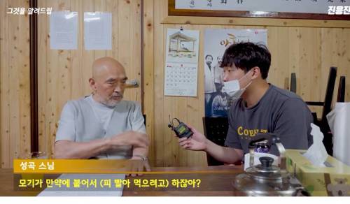 [스압] 스님들은 모기를 잡을까?