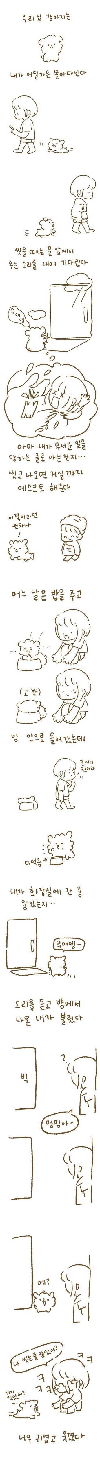 [스압] 강아지 기르면서 귀여워해주는 만화.jpg