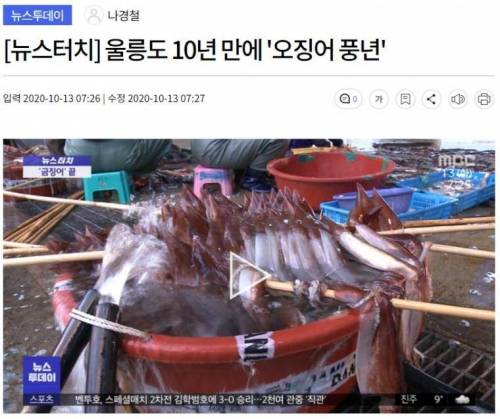 금값 됐던 오징어 근황....jpg