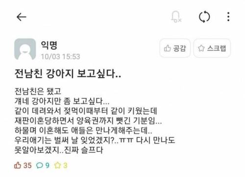 헤어지고 양육권 뺏긴 엄마.jpg