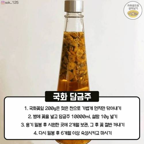 내년에 마시는 담금주 만들기.jpg