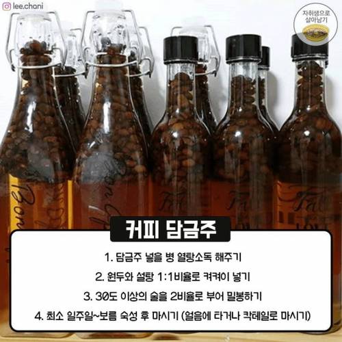 내년에 마시는 담금주 만들기.jpg