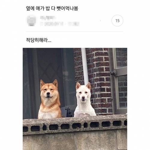 옆에 애가 밥 다 뺏어먹나봄.jpg