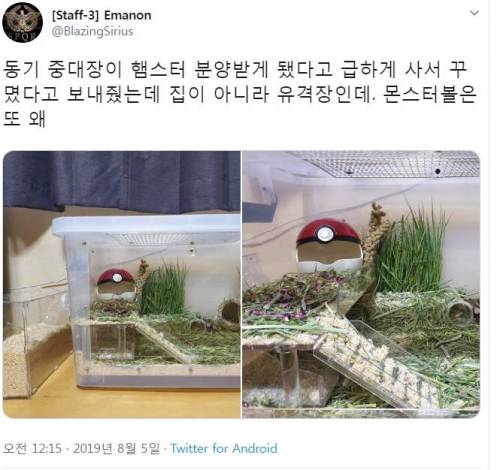 중대장이 만든 햄스터집.jpg