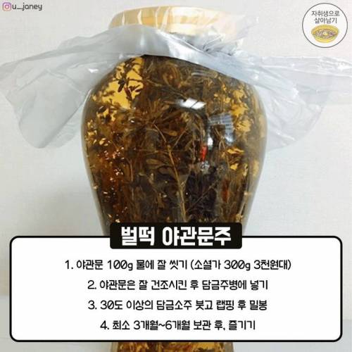 내년에 마시는 담금주 만들기.jpg