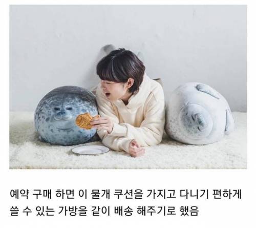 물개 쿠션 업체가 사과한 이유.jpg