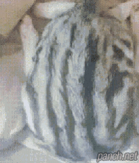 특이점이 온 수면 자세.gif
