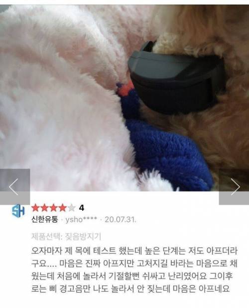 [스압] 반려견 전기충격기.jpg