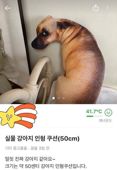 강아지 쿠션.jpg