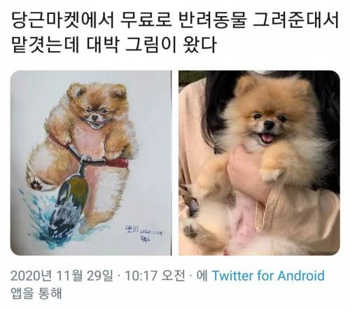 당근마켓의 은둔 고수.jpg