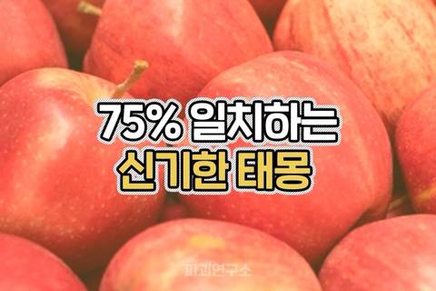 75%일치하는 신기한 태몽.jpg