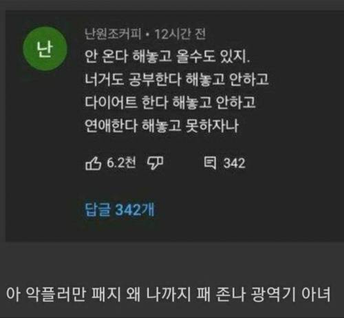 쯔양 복귀 영상에 달린 광역기.jpg