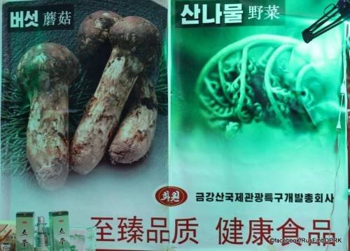 [스압] 북한의 최근 상업광고 전단지들...jpg